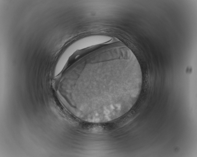 X0000112950600200910051220