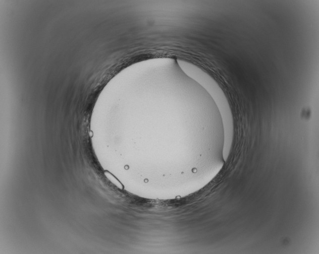 X0000112950601200910051220