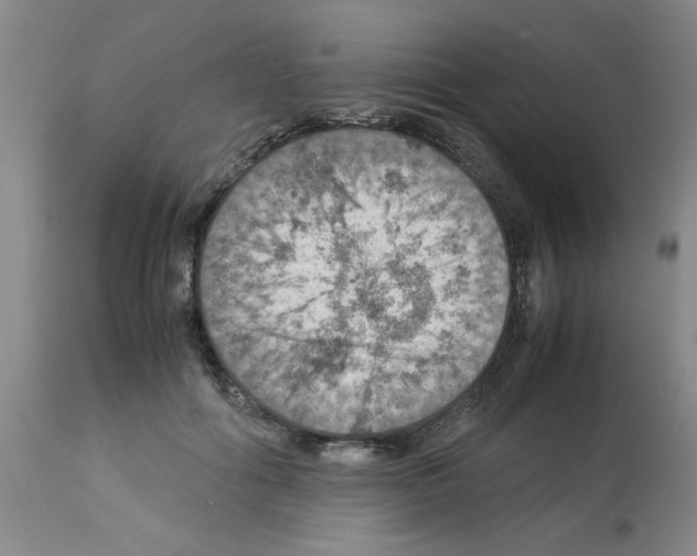 X0000112950602200910051220