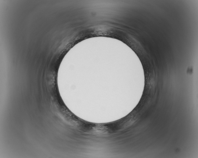 X0000112950603200910051220