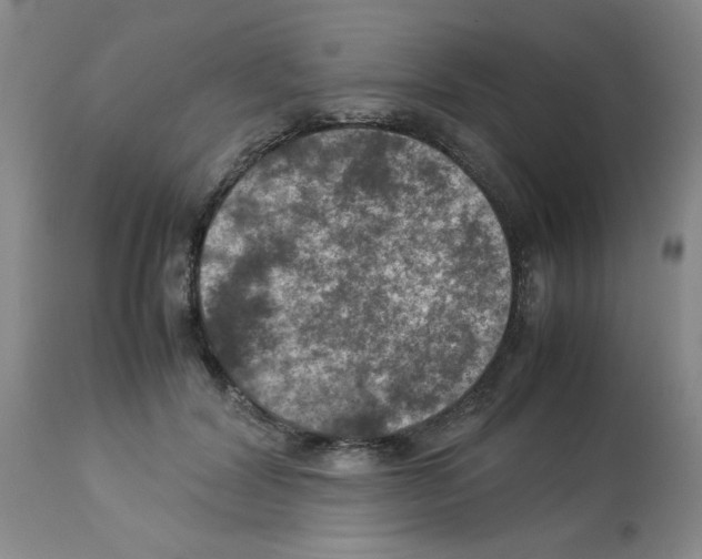 X0000112950604200910051220
