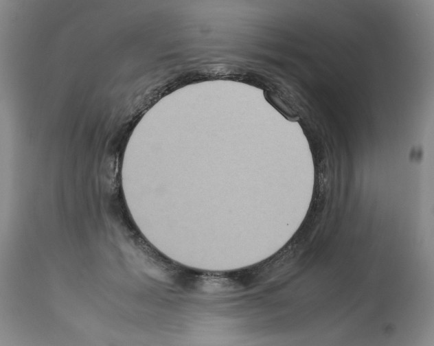 X0000112950605200910051220