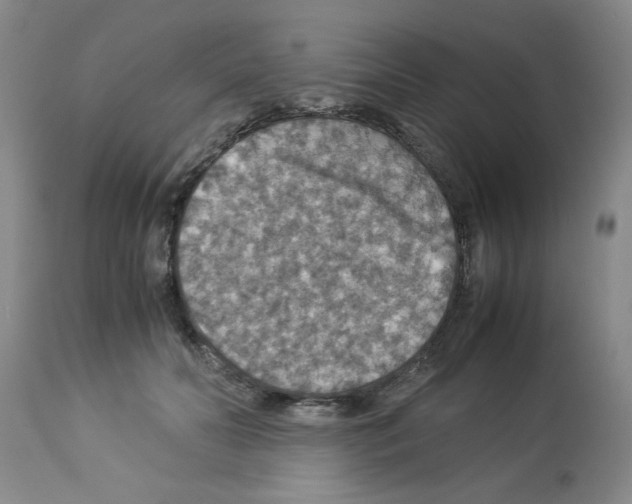 X0000112950606200910051220