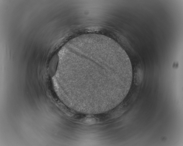 X0000112950608200910051220