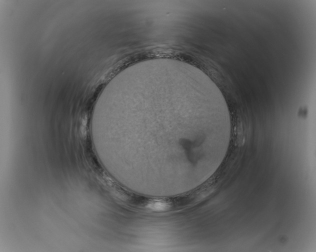 X0000112950610200910051220