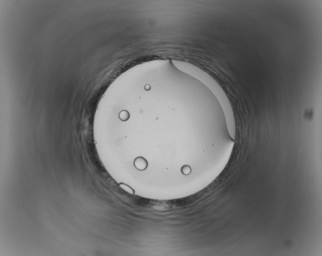 X0000112950611200910051220