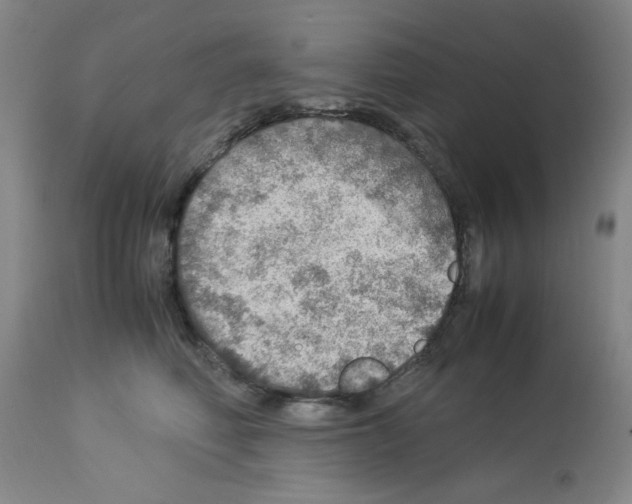 X0000112950614200910051220