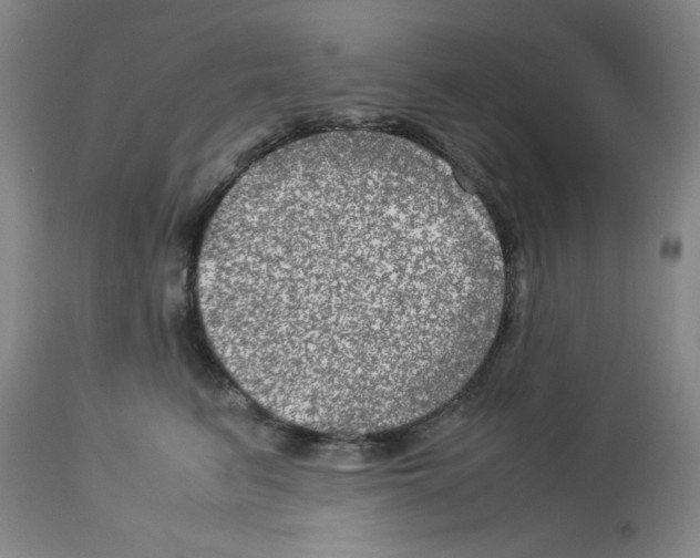 X0000112950615200910051220