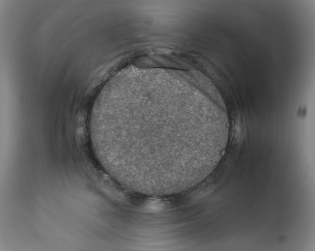 X0000112950616200910051220