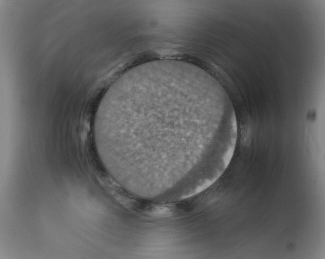 X0000112950618200910051220