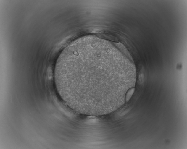 X0000112950620200910051220