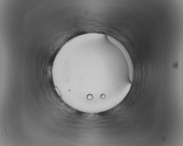 X0000112950621200910051220