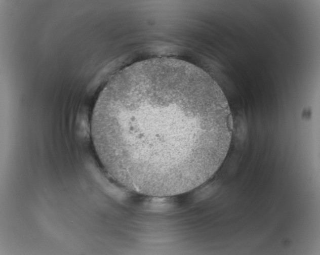 X0000112950622200910051220