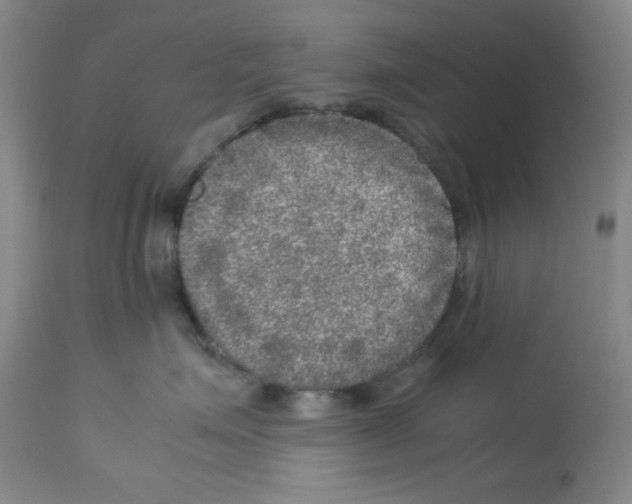 X0000112950623200910051220