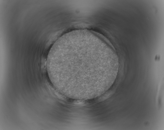 X0000112950624200910051220