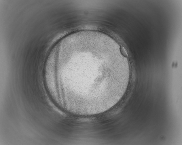 X0000112950625200910051219