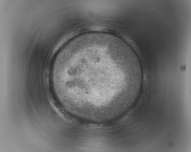 X0000112950626200910051219