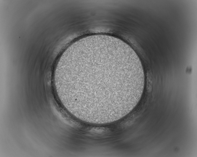 X0000112950631200910051219