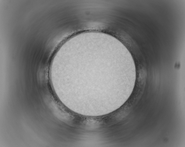 X0000112950632200910051219