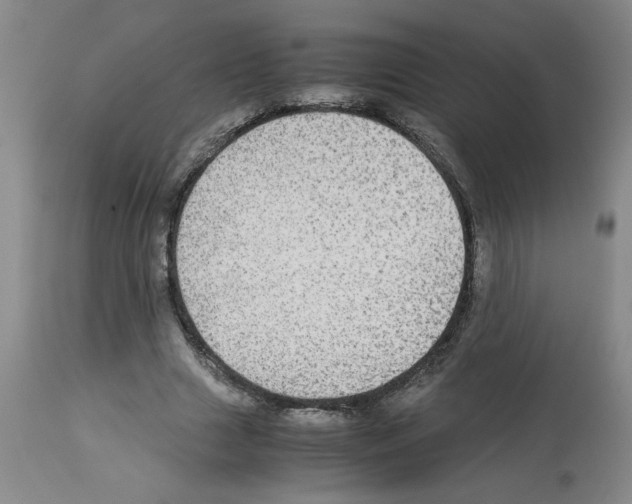 X0000112950633200910051219