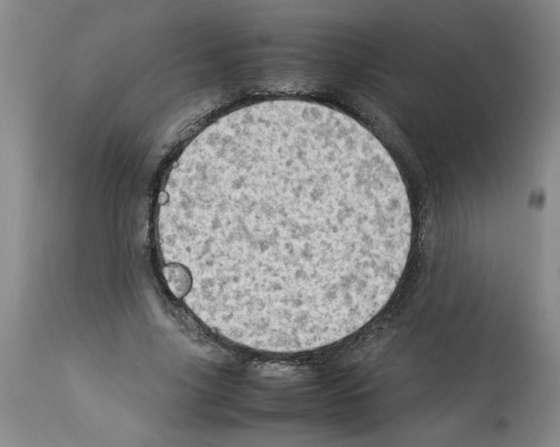 X0000112950635200910051219