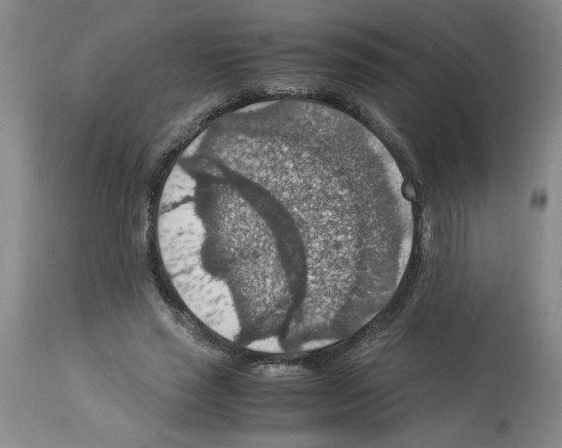 X0000112950637200910051219