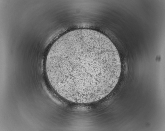 X0000112950638200910051219