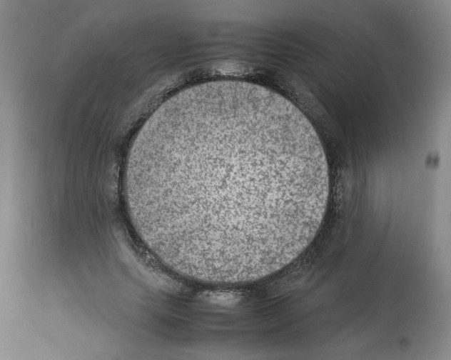 X0000112950639200910051219