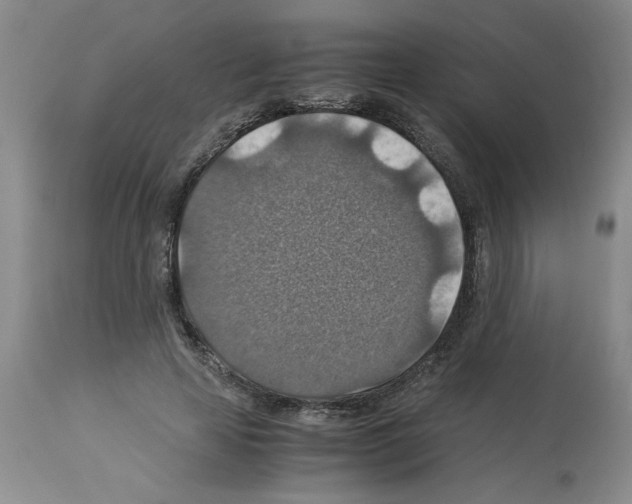 X0000112950641200910051220