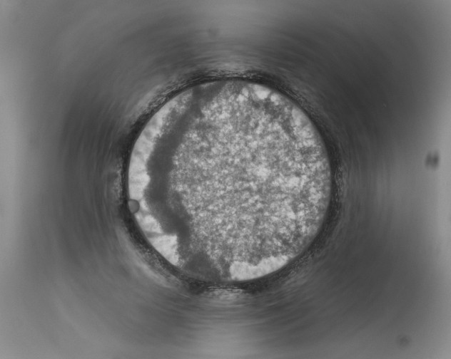 X0000112950642200910051220