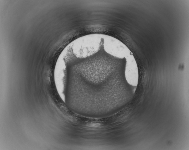 X0000112950643200910051220