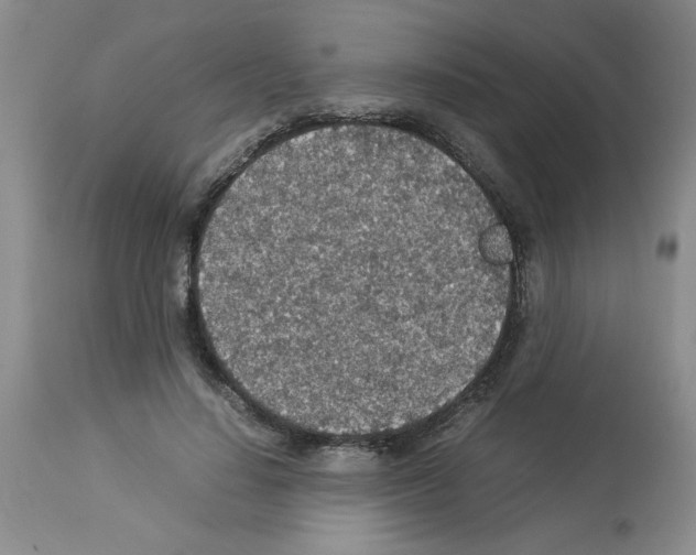 X0000112950644200910051220