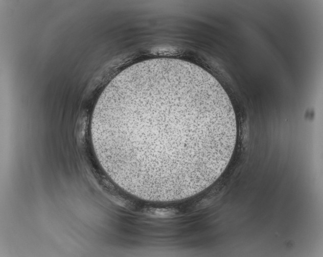 X0000112950645200910051220