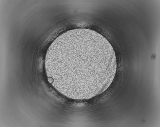 X0000112950646200910051220