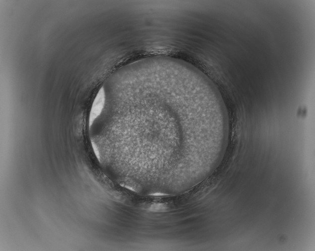 X0000112950647200910051220