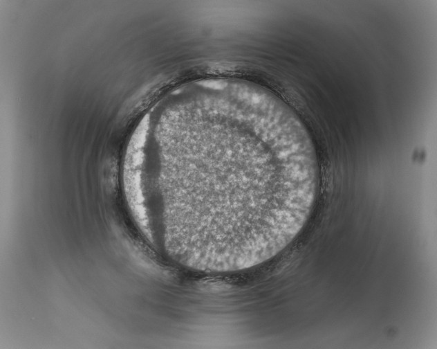 X0000112950648200910051220