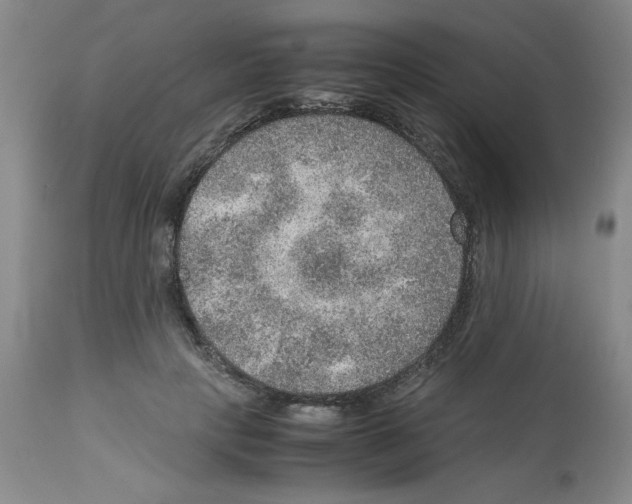 X0000112950649200910051220