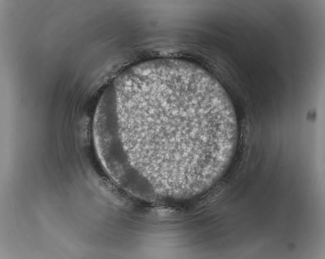 X0000112950650200910051220