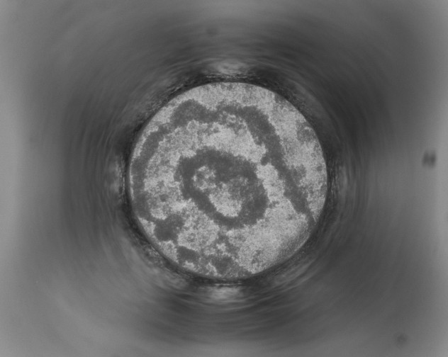 X0000112950651200910051220