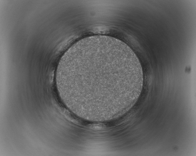 X0000112950652200910051220