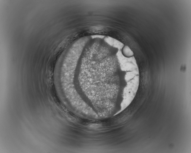 X0000112950653200910051220