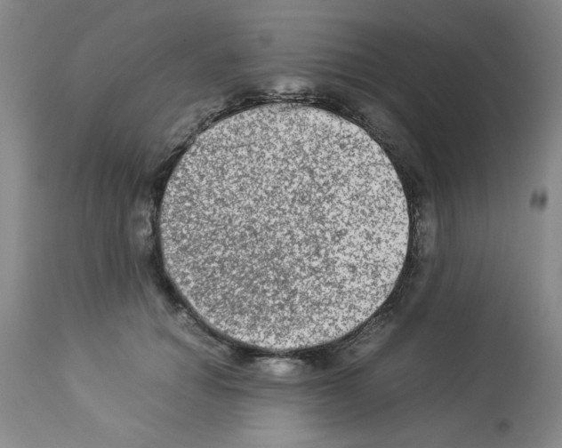 X0000112950654200910051220