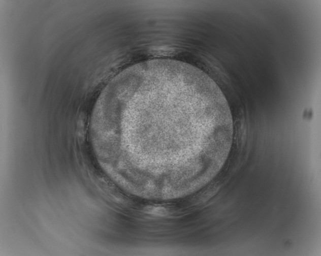 X0000112950655200910051220