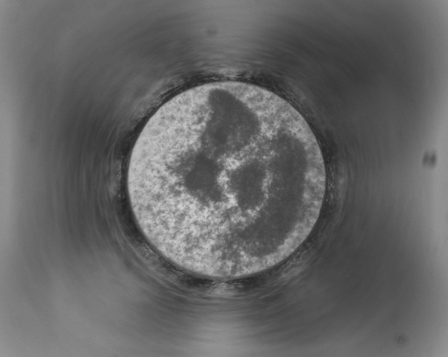 X0000112950656200910051220