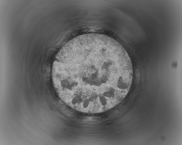 X0000112950657200910051220