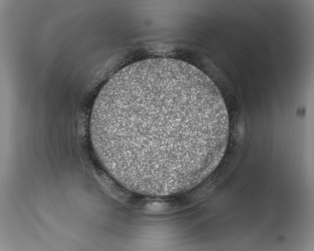 X0000112950658200910051220