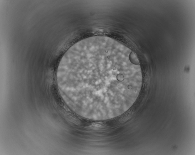 X0000112950659200910051220