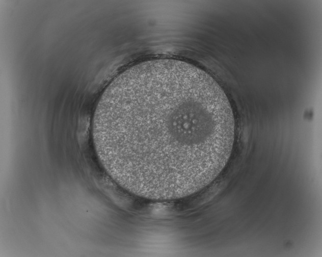 X0000112950660200910051220