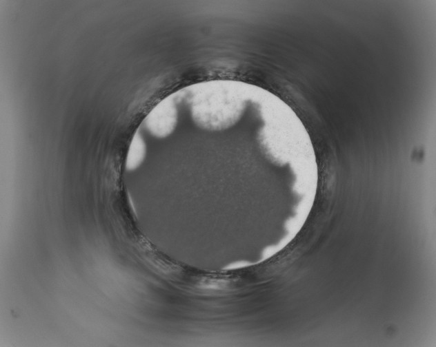 X0000112950661200910051220