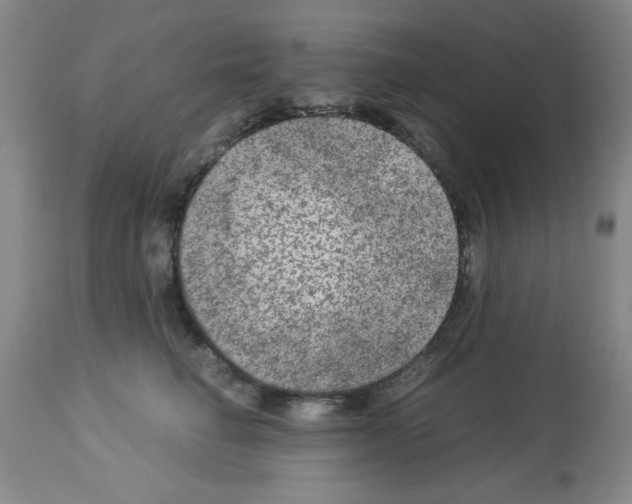 X0000112950662200910051220